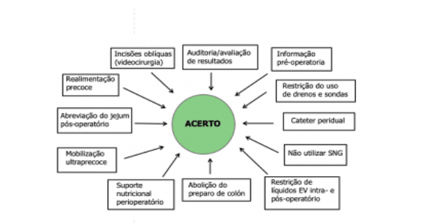 Protocolo Multimodal: Principais pontos do projeto acerto. 